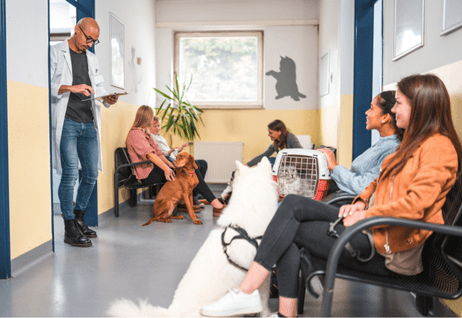 Communication in animal care