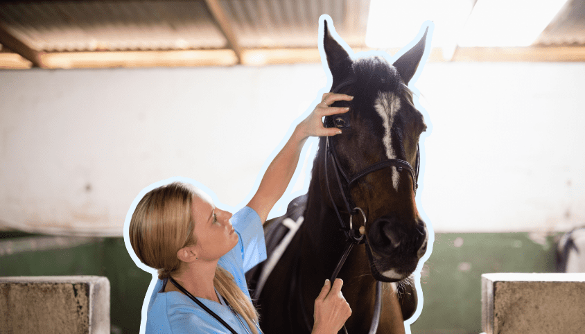 Business telephony for animal care